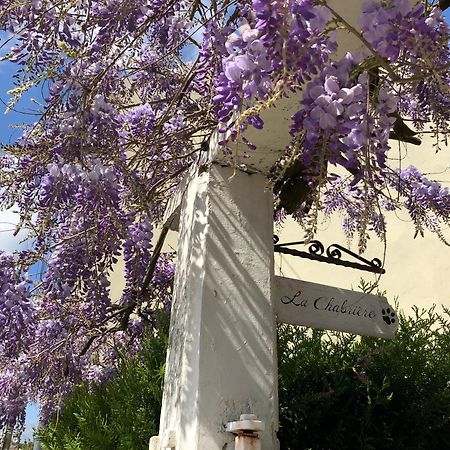 La Chabriere, Briarde De Charme Au Calme Proche Disneyland Lumigny Exteriör bild